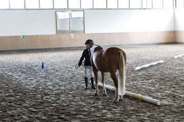 Bild 17 - Pony Akademie Turnier